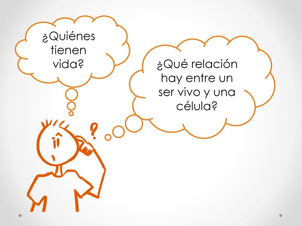 ¿Qué relación hay entre un ser vivo y una célula