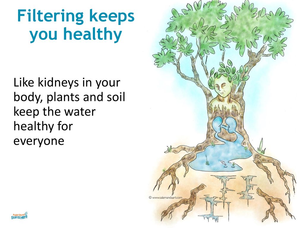 Filtering keeps you healthy