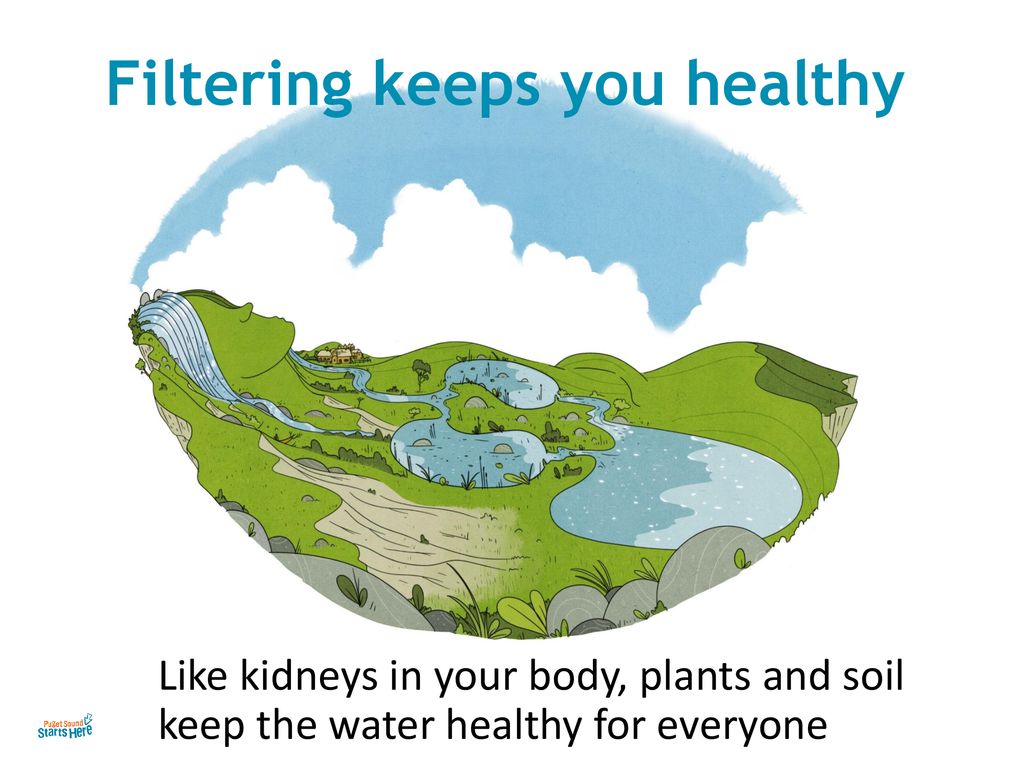 Filtering keeps you healthy