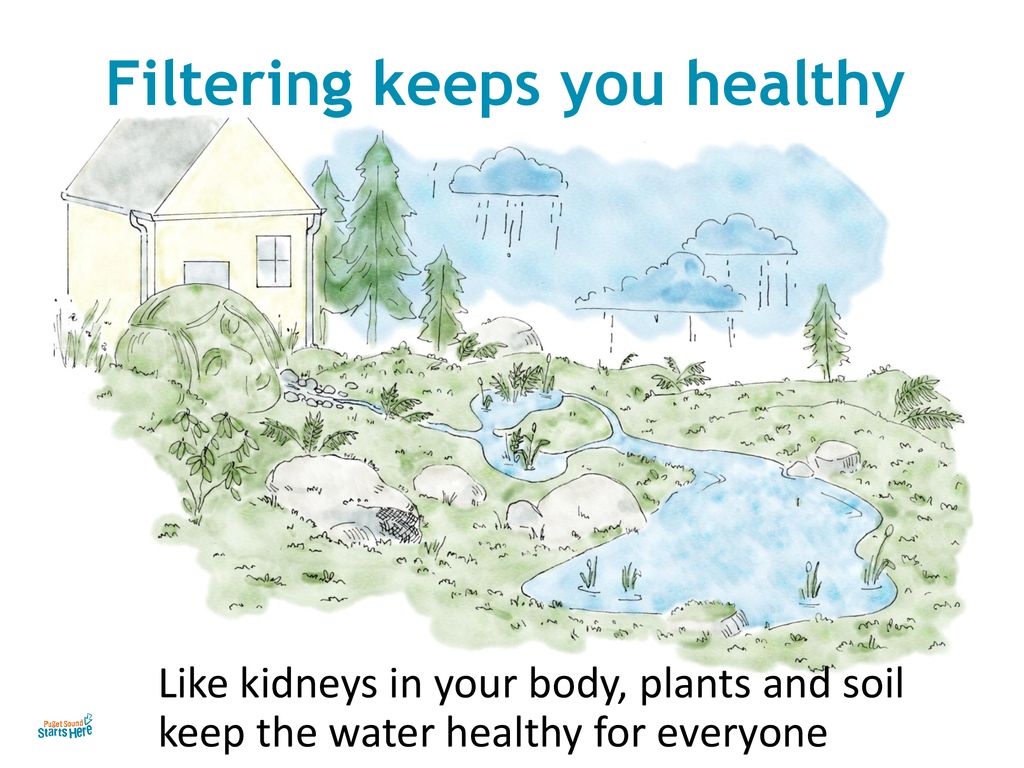 Filtering keeps you healthy