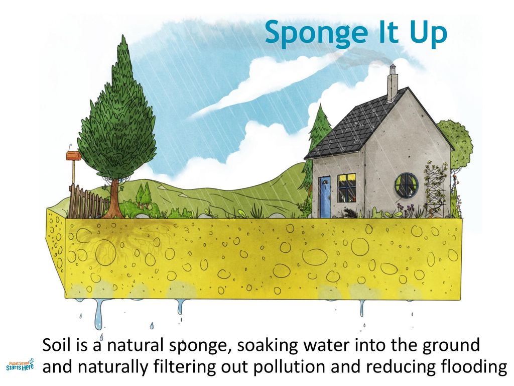 Sponge It Up Soil is a natural sponge, soaking water into the ground and naturally filtering out pollution and reducing flooding.