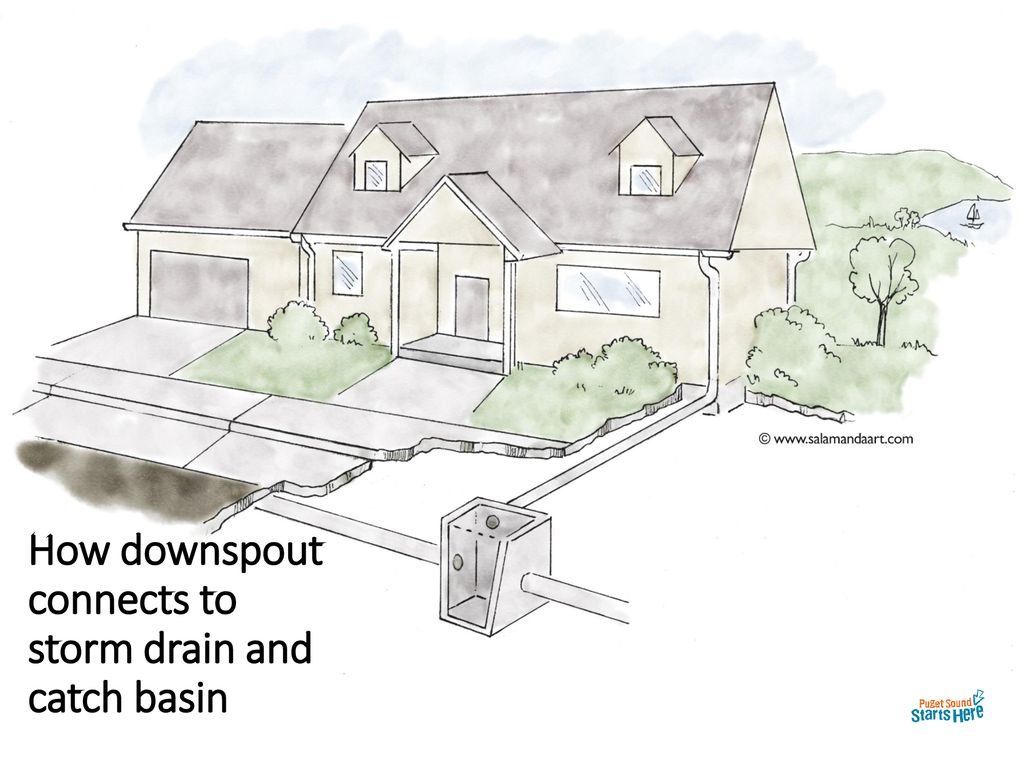 How downspout connects to storm drain and catch basin