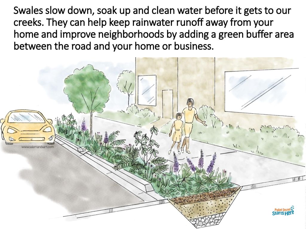 Swales slow down, soak up and clean water before it gets to our creeks