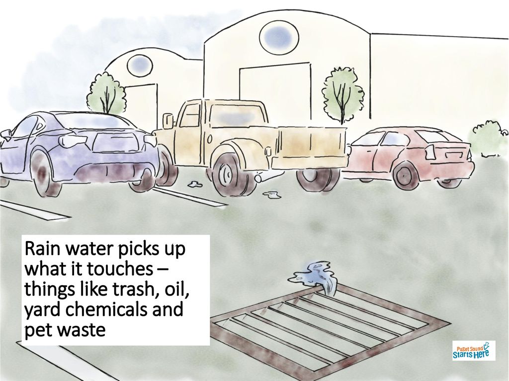 Rain water picks up what it touches – things like trash, oil, yard chemicals and pet waste