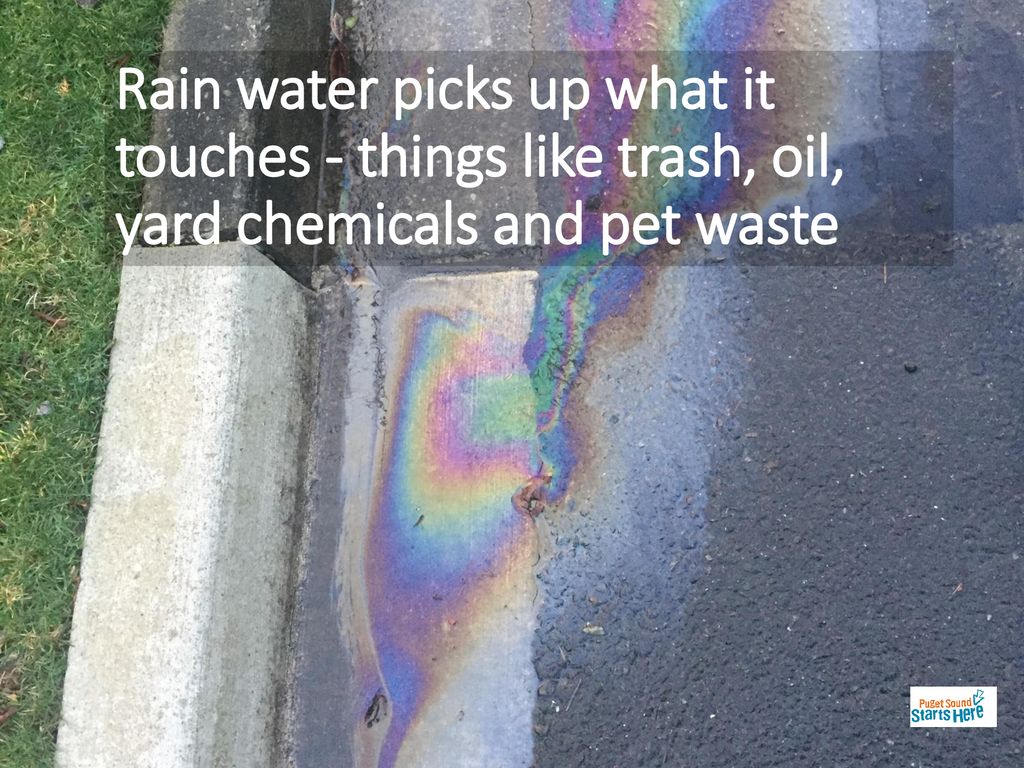 Rain water picks up what it touches - things like trash, oil, yard chemicals and pet waste
