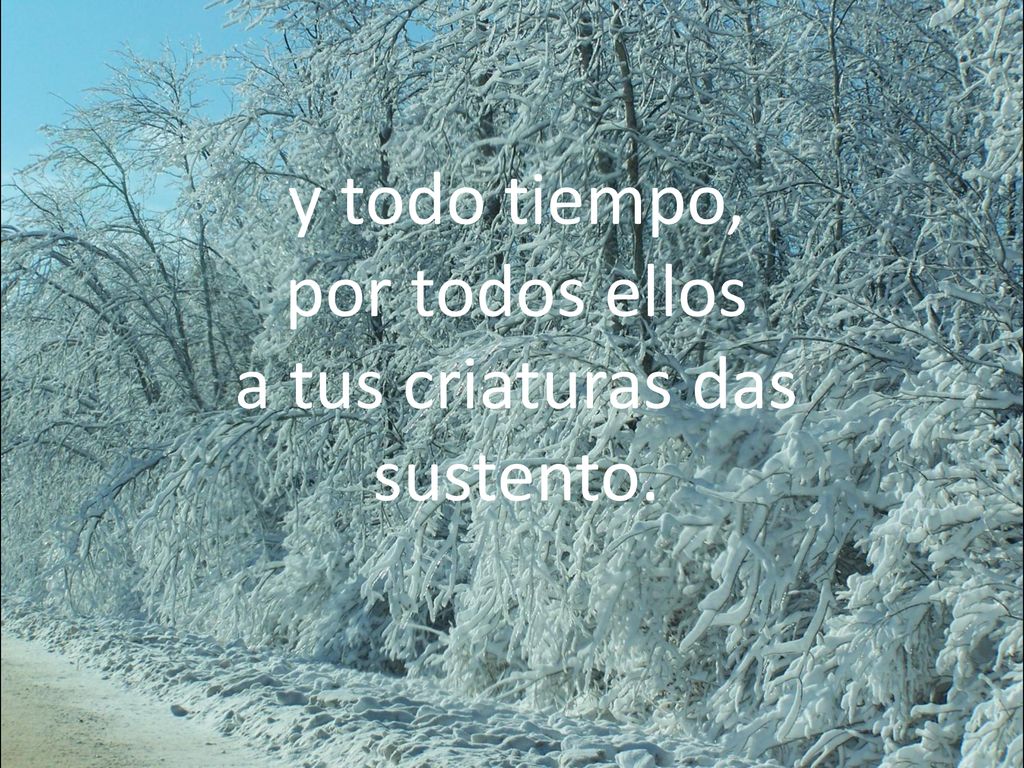 y todo tiempo, por todos ellos a tus criaturas das sustento.