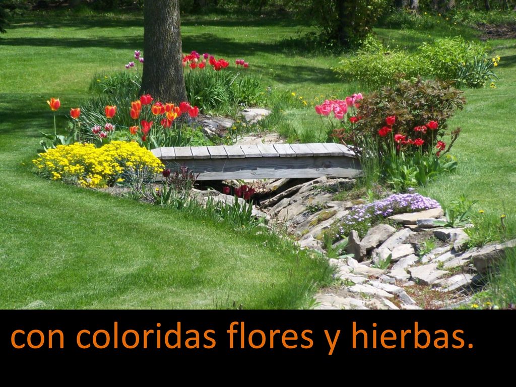con coloridas flores y hierbas.