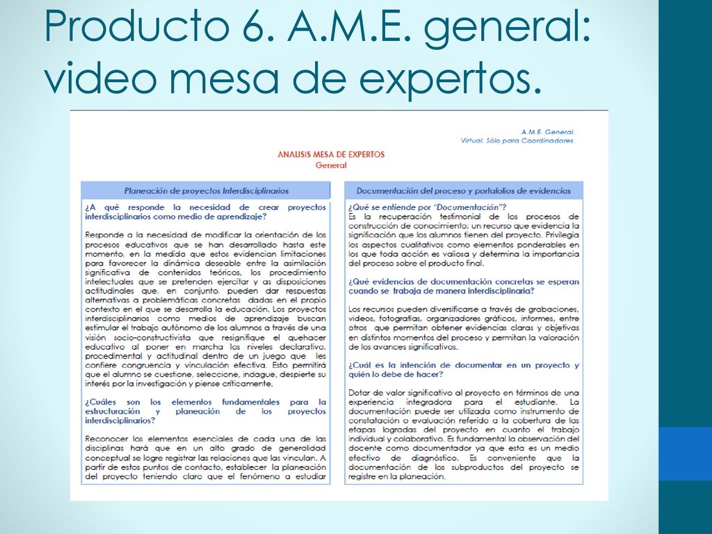 Producto 6. A.M.E. general: video mesa de expertos.
