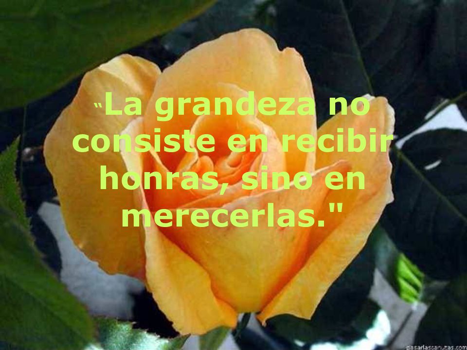 La grandeza no consiste en recibir honras, sino en merecerlas.