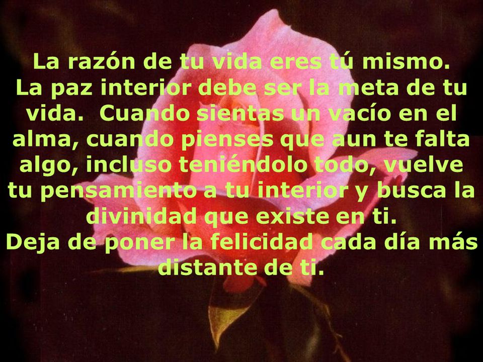 Deja de poner la felicidad cada día más distante de ti.