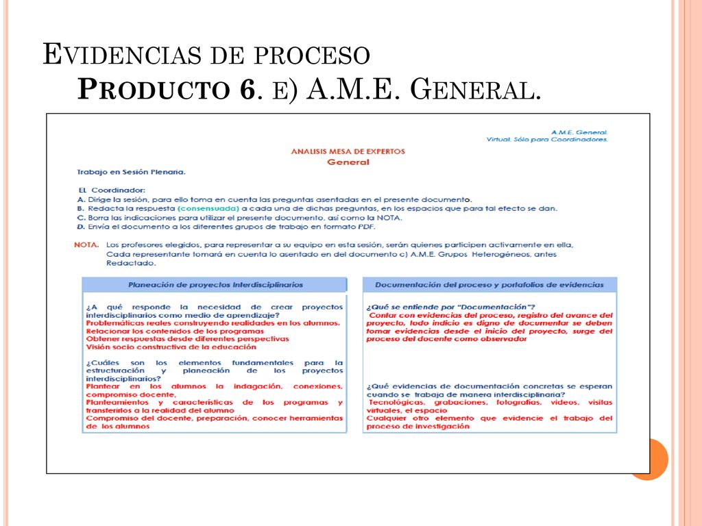 Evidencias de proceso Producto 6. e) A.M.E. General.
