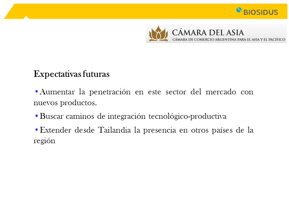 Expectativas futuras Aumentar la penetración en este sector del mercado con nuevos productos. Buscar caminos de integración tecnológico-productiva.