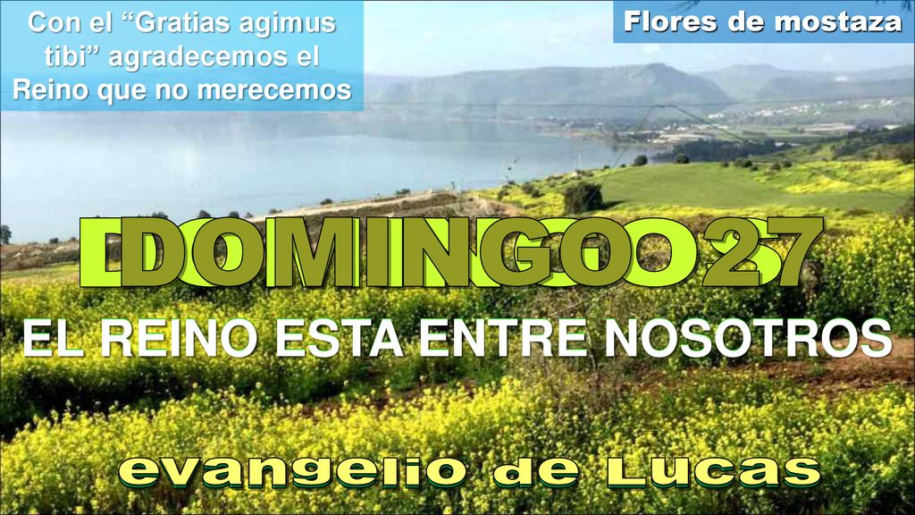 Con el Gratias agimus tibi agradecemos el Reino que no merecemos