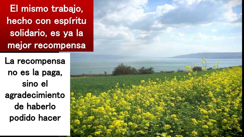 El mismo trabajo, hecho con espíritu solidario, es ya la mejor recompensa