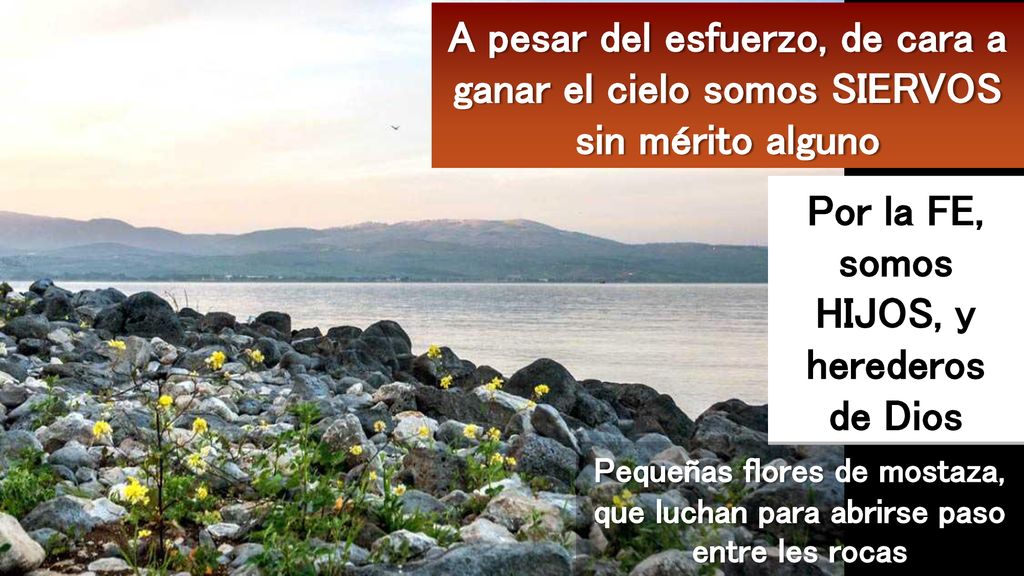 Por la FE, somos HIJOS, y herederos de Dios