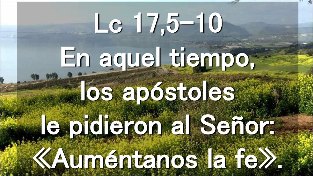 Lc 17,5-10 En aquel tiempo, los apóstoles le pidieron al Señor: «Auméntanos la fe».