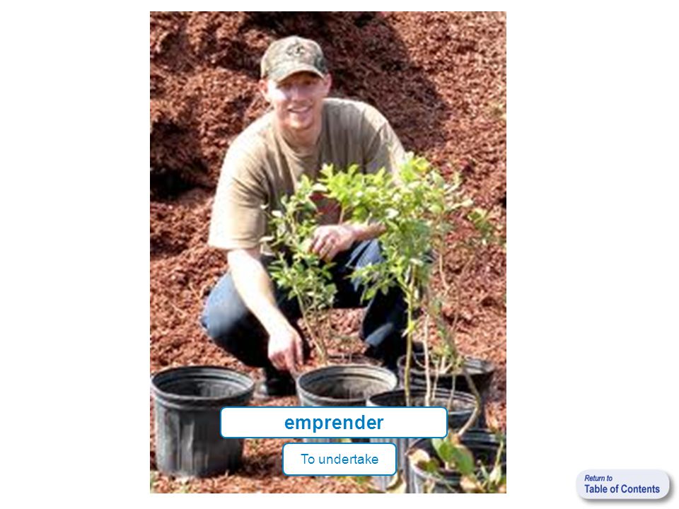 emprender To undertake