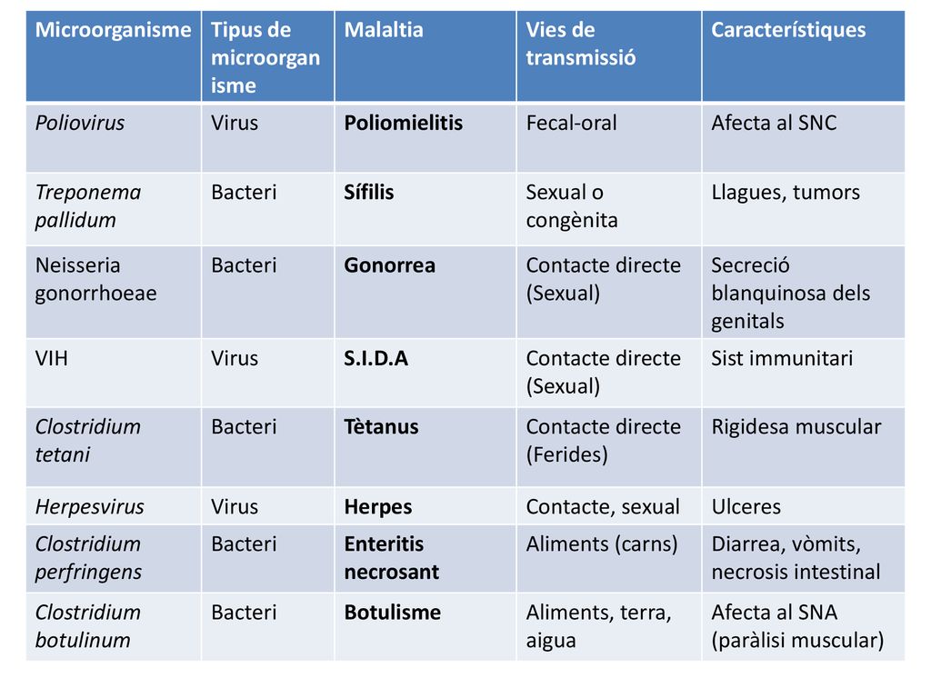 Microorganisme Tipus de microorganisme. Malaltia. Vies de transmissió. Característiques. Poliovirus.