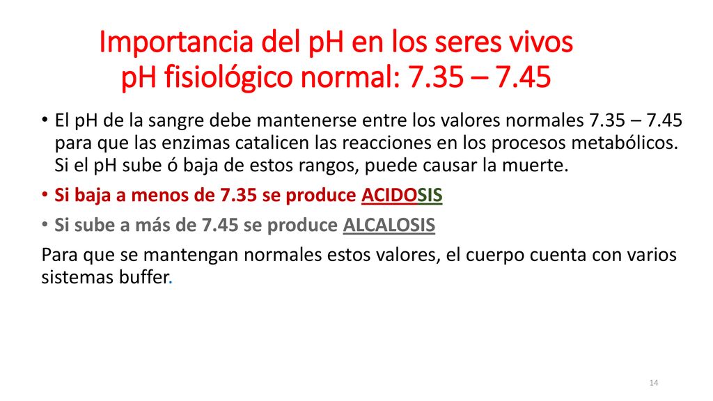 Importancia del pH en los seres vivos pH fisiológico normal: – 7
