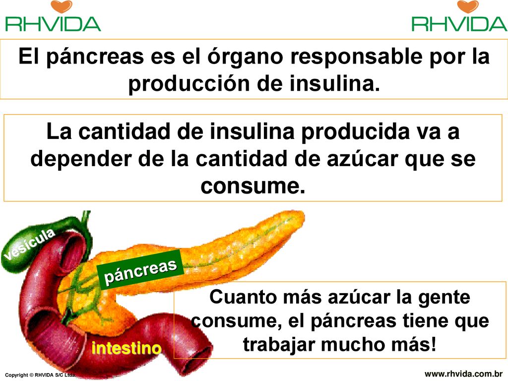 El páncreas es el órgano responsable por la producción de insulina.