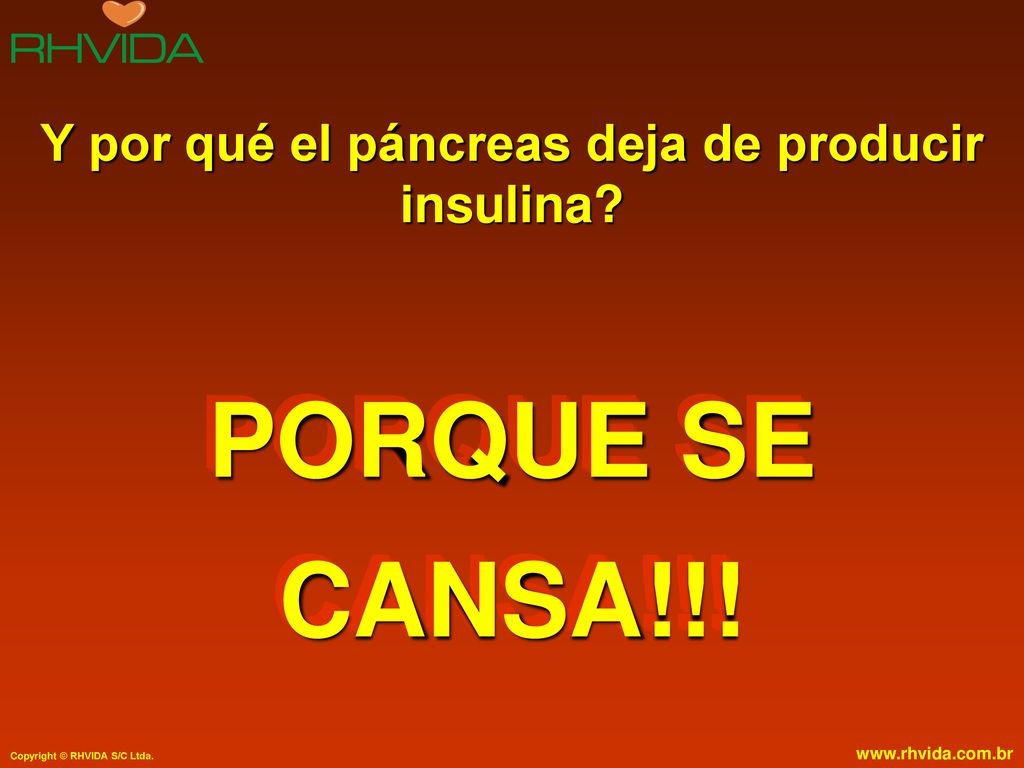Y por qué el páncreas deja de producir insulina