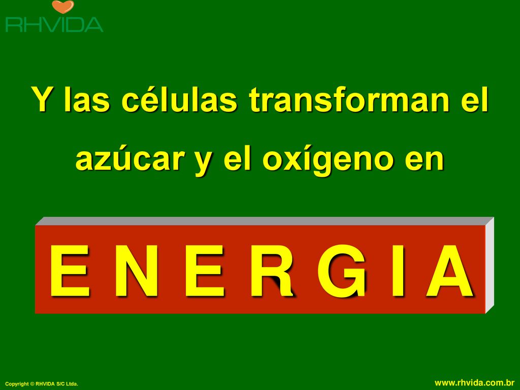Y las células transforman el azúcar y el oxígeno en