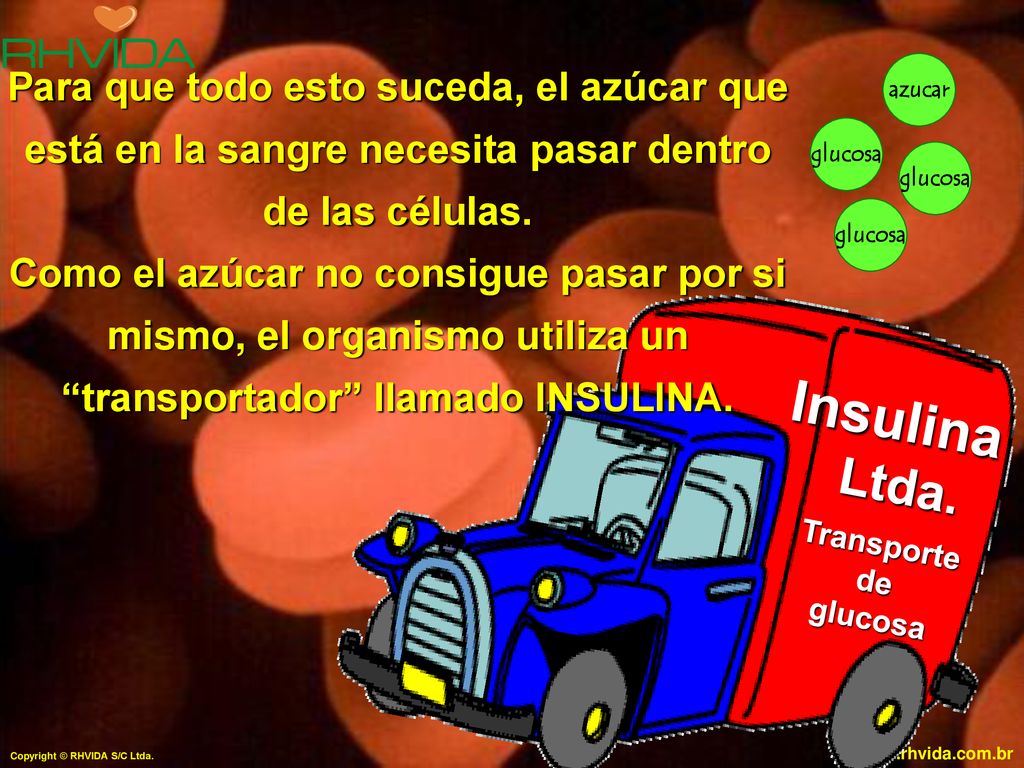 Para que todo esto suceda, el azúcar que está en la sangre necesita pasar dentro de las células.