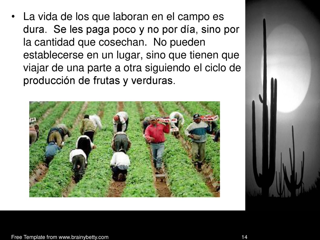 La vida de los que laboran en el campo es dura