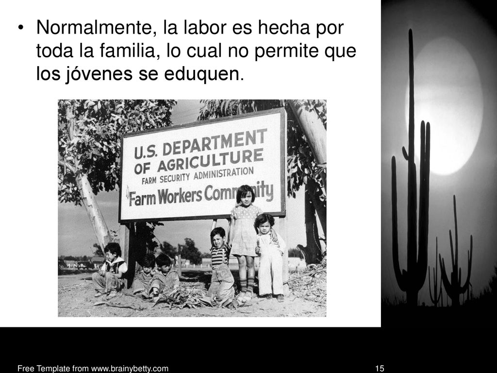 Normalmente, la labor es hecha por toda la familia, lo cual no permite que los jóvenes se eduquen.