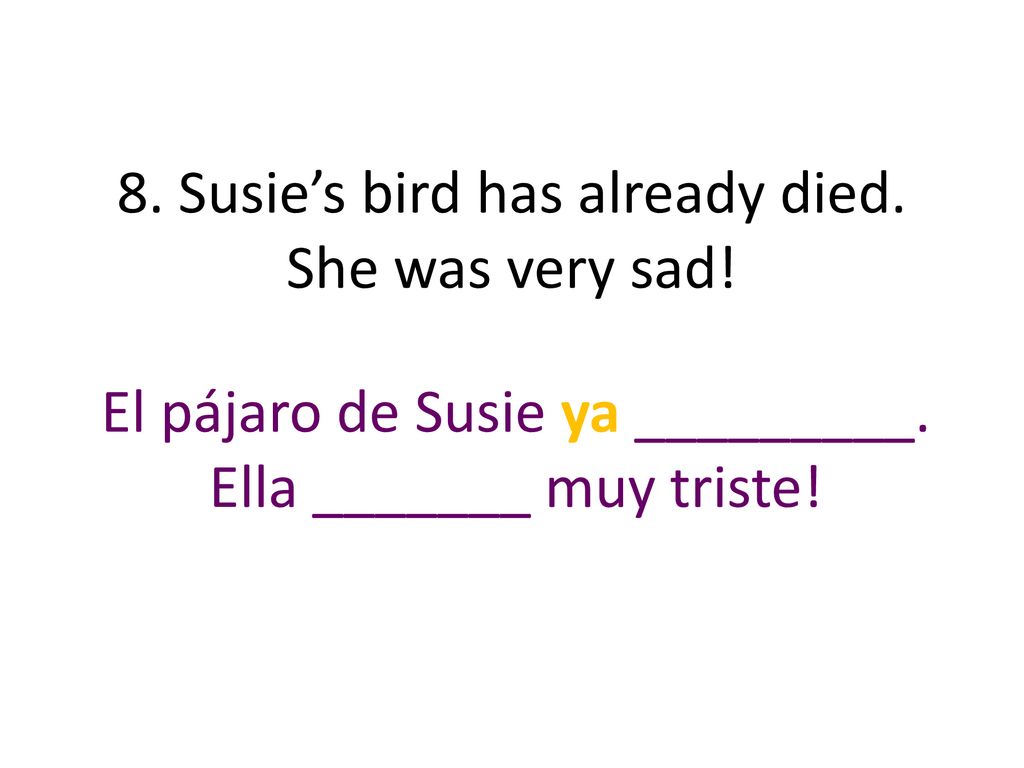 8. Susie’s bird has already died. She was very sad!