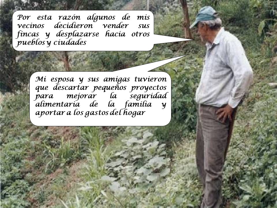 Por esta razón algunos de mis vecinos decidieron vender sus fincas y desplazarse hacia otros pueblos y ciudades