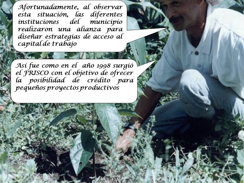 Afortunadamente, al observar esta situación, las diferentes instituciones del municipio realizaron una alianza para diseñar estrategias de acceso al capital de trabajo