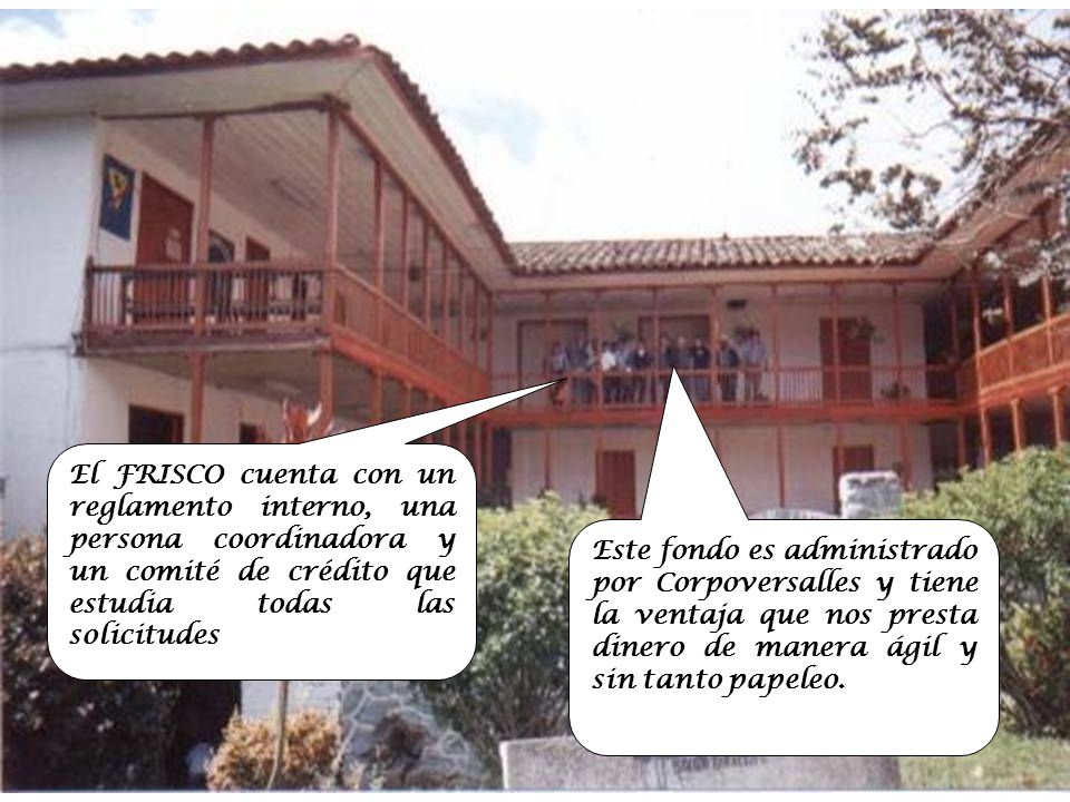 El FRISCO cuenta con un reglamento interno, una persona coordinadora y un comité de crédito que estudia todas las solicitudes