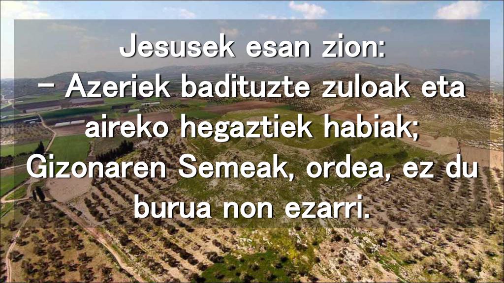 Jesusek esan zion: – Azeriek badituzte zuloak eta aireko hegaztiek habiak; Gizonaren Semeak, ordea, ez du burua non ezarri.