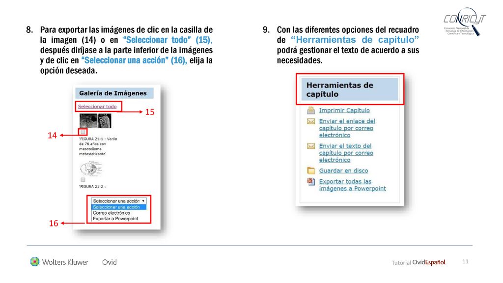 Para exportar las imágenes de clic en la casilla de la imagen (14) o en Seleccionar todo (15), después diríjase a la parte inferior de la imágenes y de clic en Seleccionar una acción (16), elija la opción deseada.