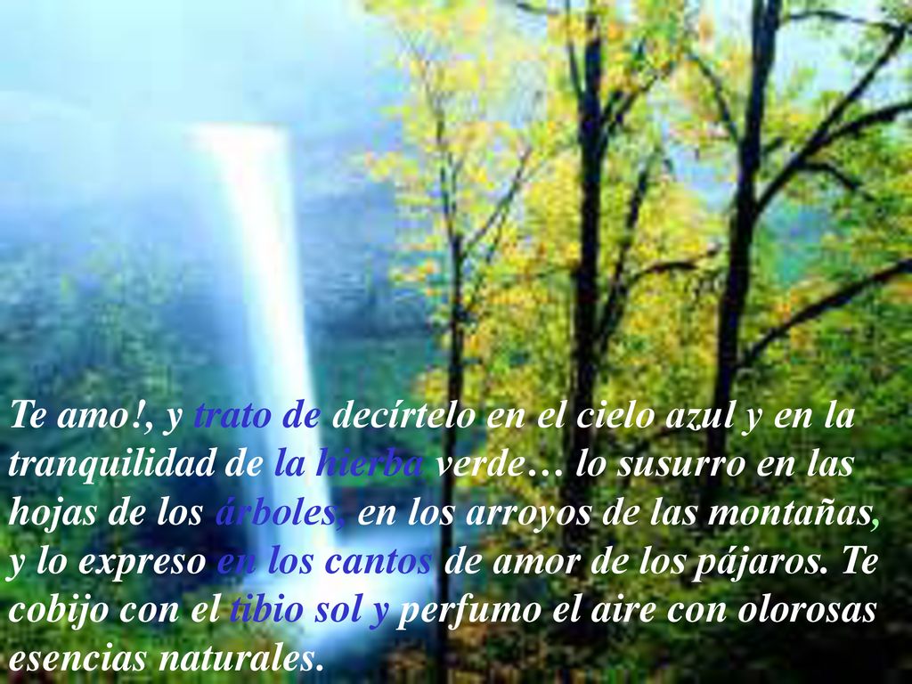 Te amo!, y trato de decírtelo en el cielo azul y en la tranquilidad de la hierba verde… lo susurro en las hojas de los árboles, en los arroyos de las montañas, y lo expreso en los cantos de amor de los pájaros.