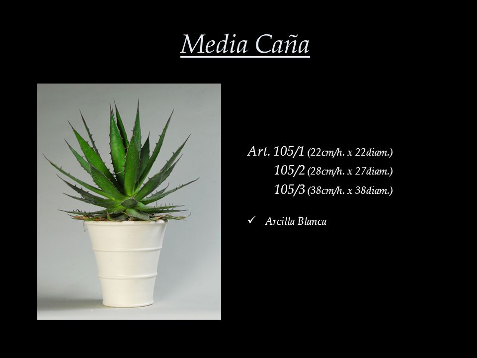 Media Caña Art. 105/1 (22cm/h. x 22diam.) 105/2 (28cm/h. x 27diam.)