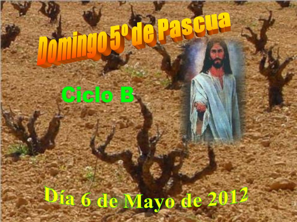 Domingo 5º de Pascua Ciclo B Día 6 de Mayo de 2012