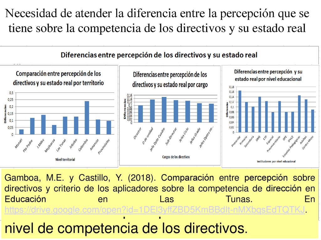 Necesidad de atender la diferencia entre la percepción que se tiene sobre la competencia de los directivos y su estado real