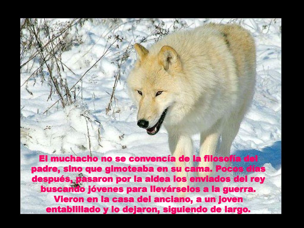 El muchacho no se convencía de la filosofía del padre, sino que gimoteaba en su cama.