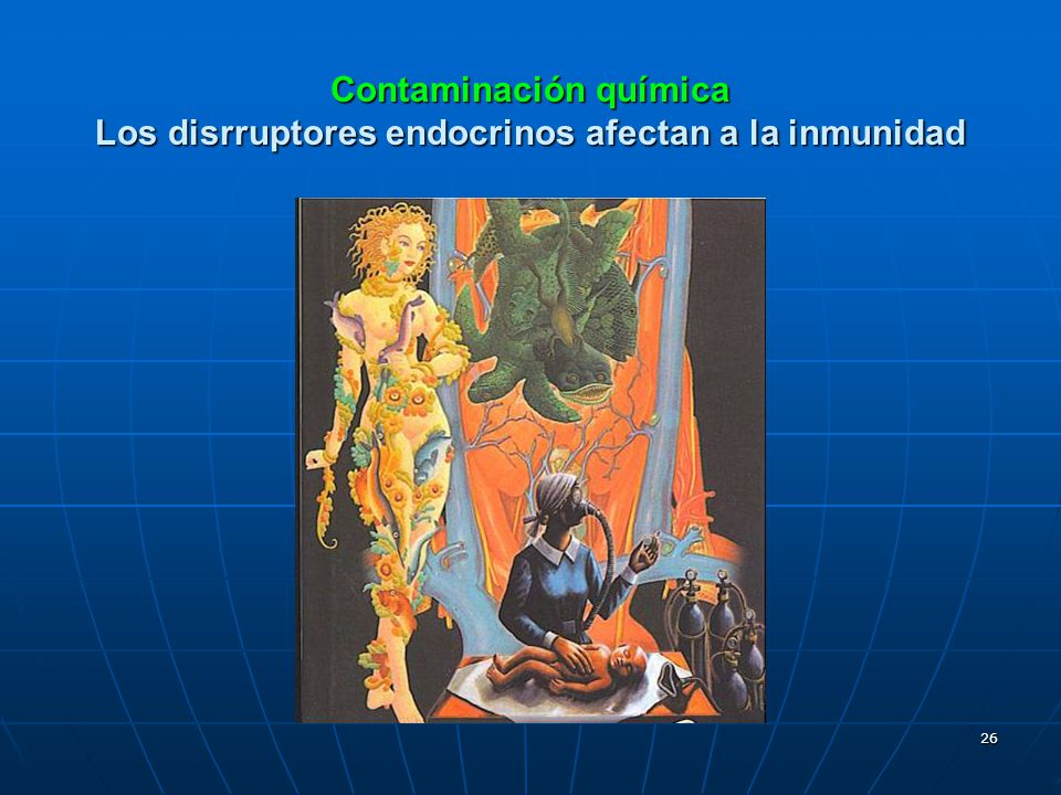 Contaminación química Los disrruptores endocrinos afectan a la inmunidad