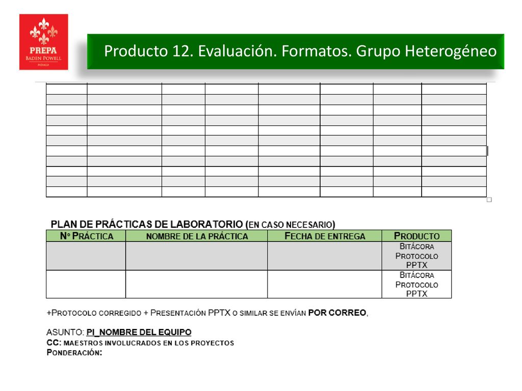 Producto 12. Evaluación. Formatos. Grupo Heterogéneo