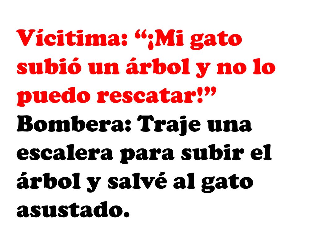 Vícitima: ¡Mi gato subió un árbol y no lo puedo rescatar!