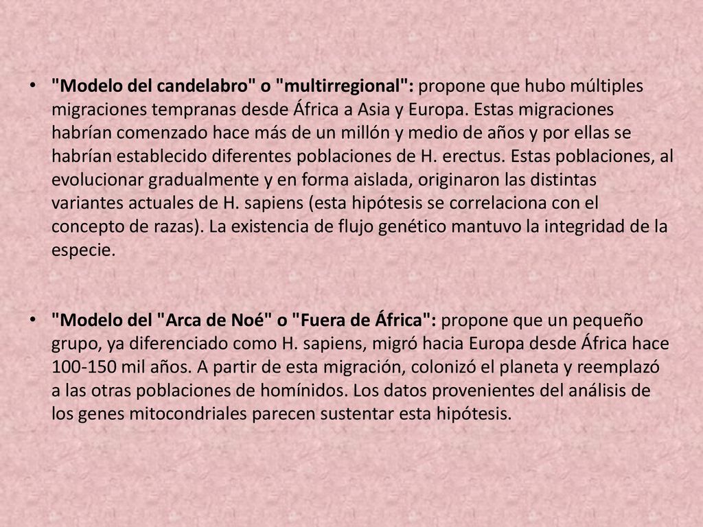 Modelo del candelabro o multirregional : propone que hubo múltiples migraciones tempranas desde África a Asia y Europa. Estas migraciones habrían comenzado hace más de un millón y medio de años y por ellas se habrían establecido diferentes poblaciones de H. erectus. Estas poblaciones, al evolucionar gradualmente y en forma aislada, originaron las distintas variantes actuales de H. sapiens (esta hipótesis se correlaciona con el concepto de razas). La existencia de flujo genético mantuvo la integridad de la especie.