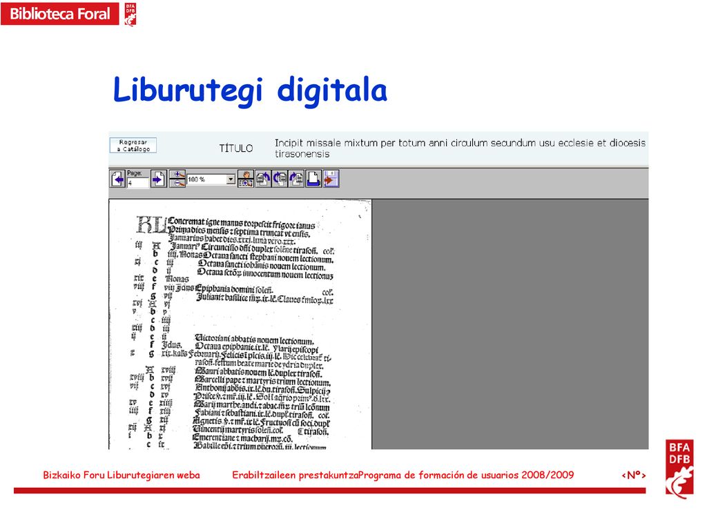 Liburutegi digitala Propuestas para la web de la Biblioteca Foral