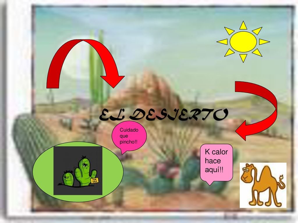 EL DESIERTO K calor hace aquí!! 13 de Noviembre,2008