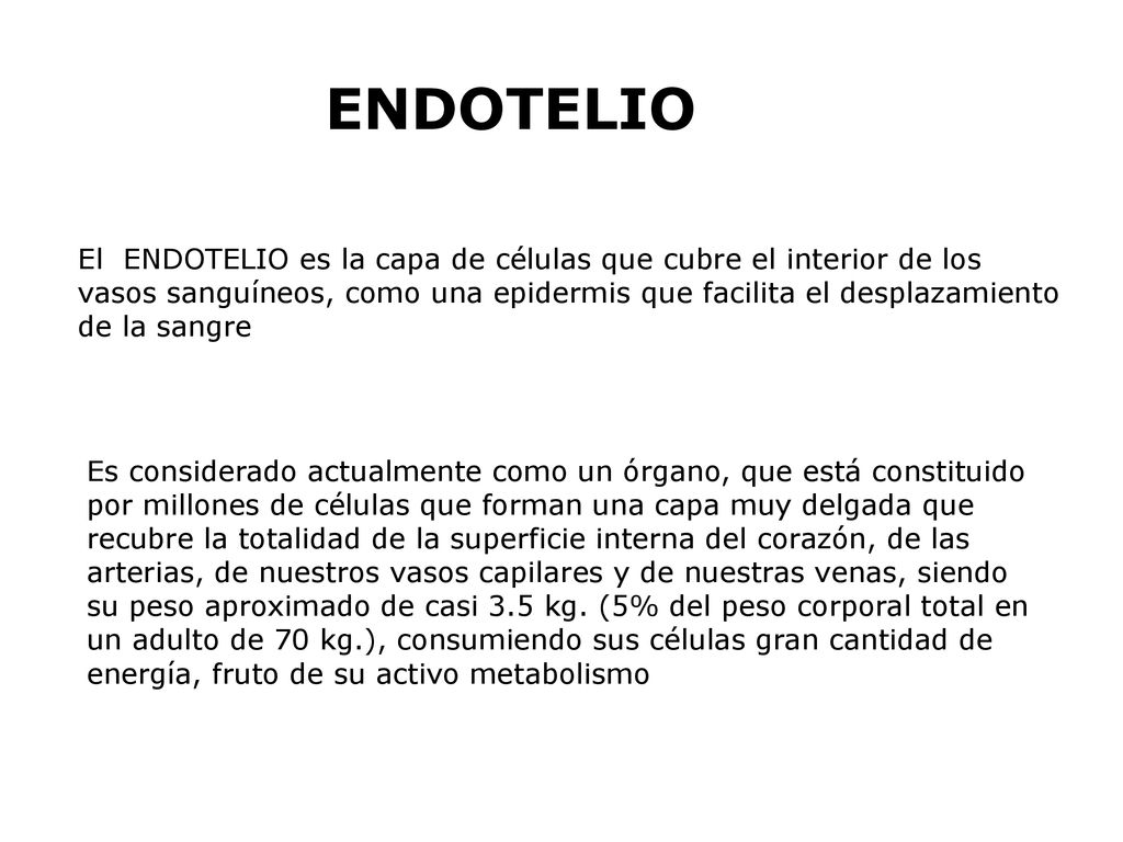 ENDOTELIO El ENDOTELIO es la capa de células que cubre el interior de los. vasos sanguíneos, como una epidermis que facilita el desplazamiento.