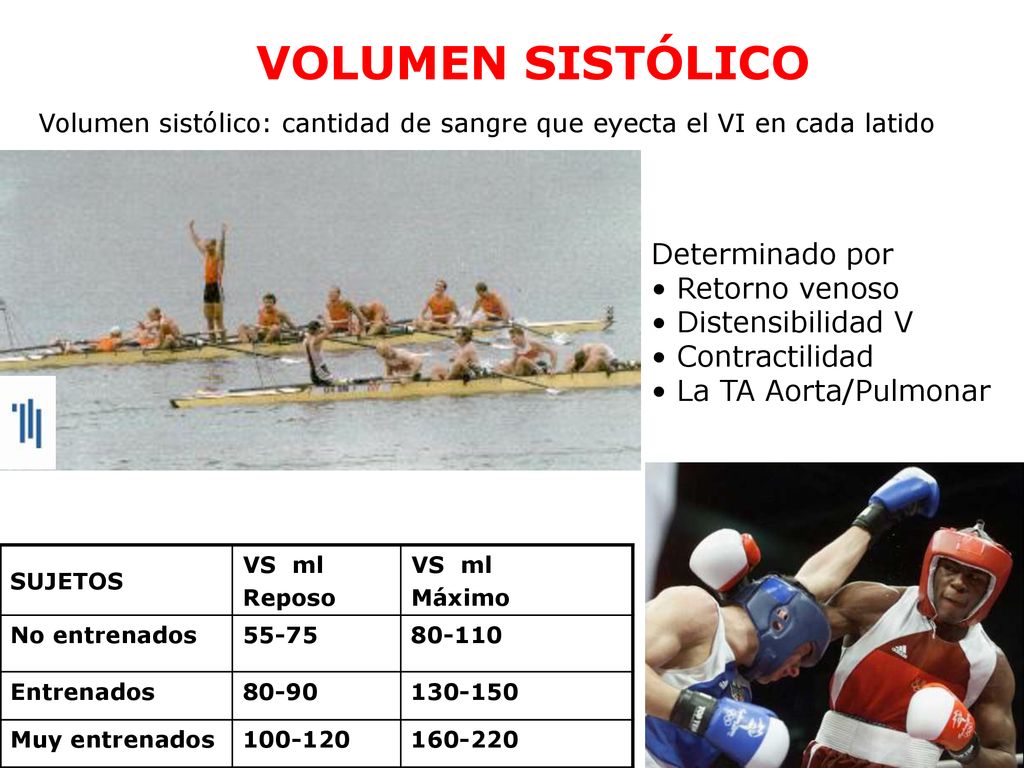VOLUMEN SISTÓLICO Determinado por Retorno venoso Distensibilidad V