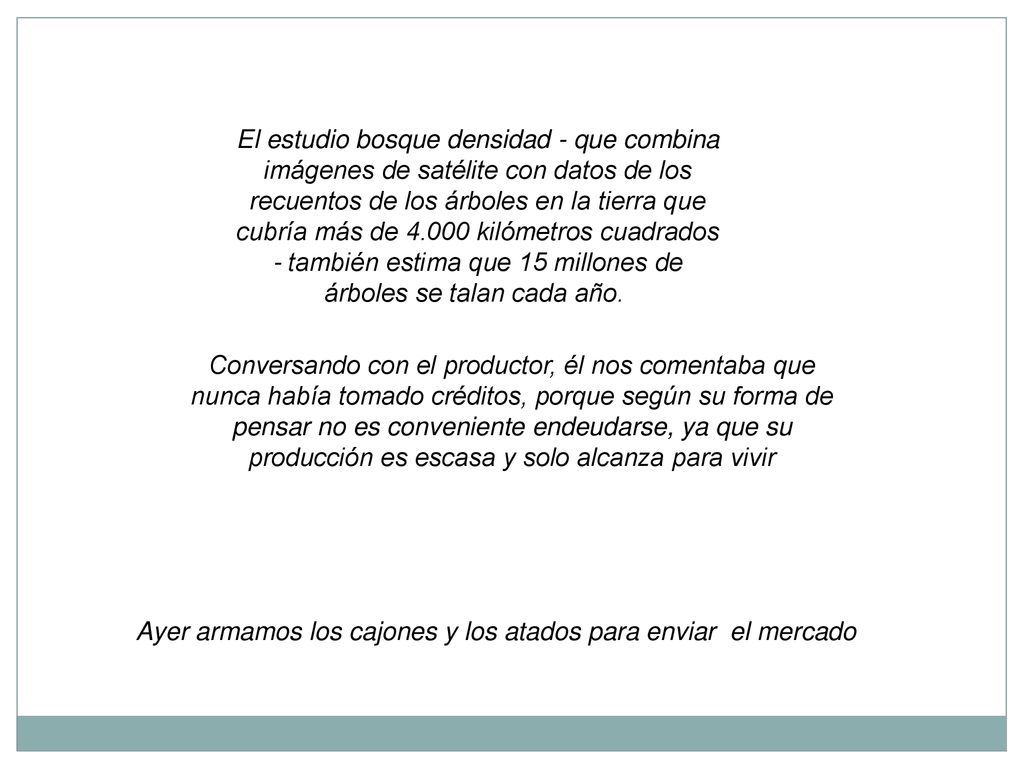 Ayer armamos los cajones y los atados para enviar el mercado