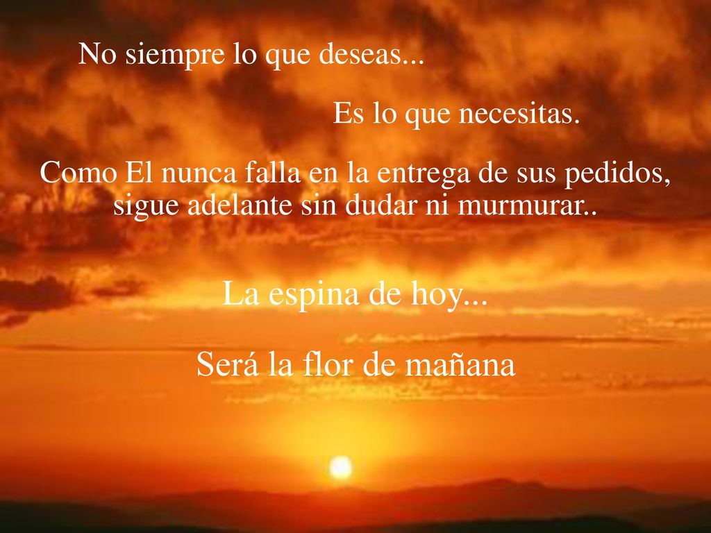 La espina de hoy... Será la flor de mañana No siempre lo que deseas...